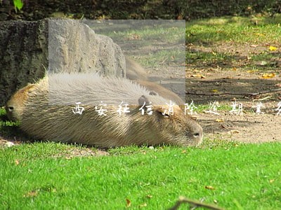 西安征信消除逾期业务 西安征信消除逾期业务