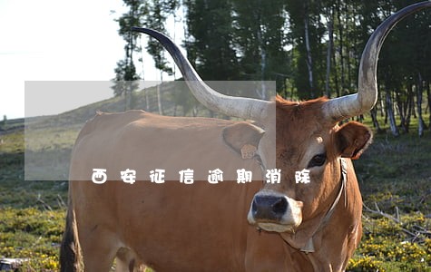 西安征信逾期消除