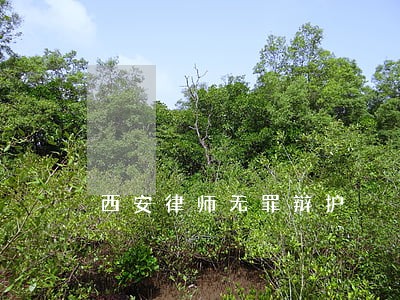 西安律师无罪辩护 西安律师无罪辩护