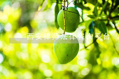西安律师法律咨询平台 西安律师法律咨询平台