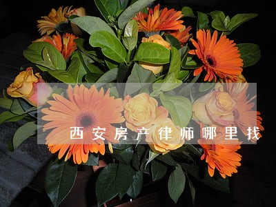西安房产律师哪里找 西安房产律师哪里找