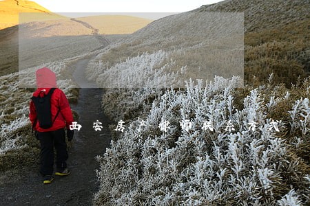 西安房产律师联系方式 西安房产律师联系方式