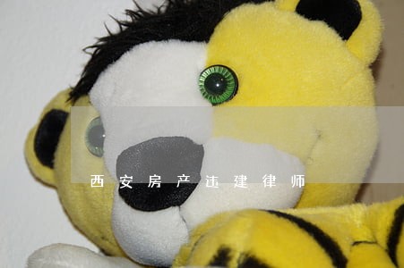 西安房产违建律师 西安房产违建律师