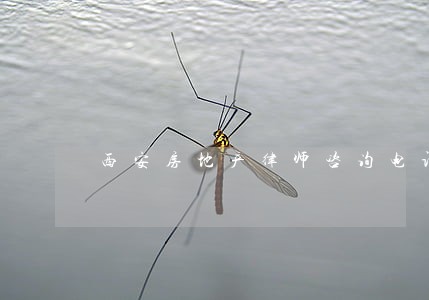 西安房地产律师咨询电话 西安房地产律师咨询电话