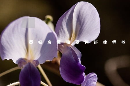 西安房屋租赁纠纷律师收费标准 西安房屋租赁纠纷律师收费标准