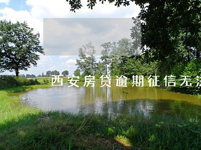 西安房贷逾期征信无法贷款
