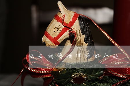 西安找婚姻律师哪个好 西安找婚姻律师哪个好