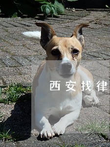 西安找律师要多少钱 西安找律师要多少钱