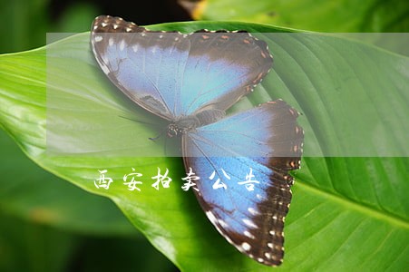 西安拍卖公告 西安拍卖公告