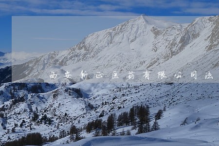 西安新正医药有限公司法人 西安新正医药有限公司法人