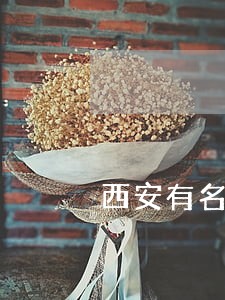 西安有名的婚姻律师 西安有名的婚姻律师