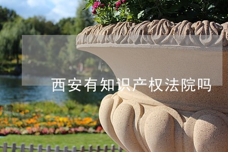 西安有知识产权法院吗