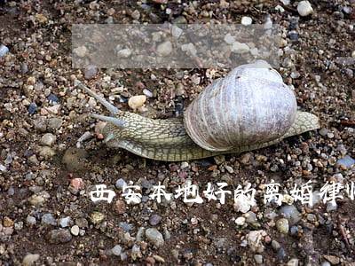 西安本地好的离婚律师 西安本地好的离婚律师