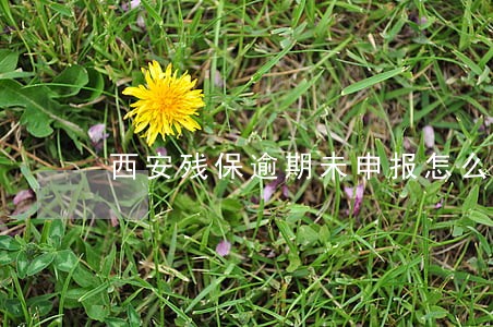 西安残保逾期未申报怎么处理 西安残保逾期未申报怎么处理
