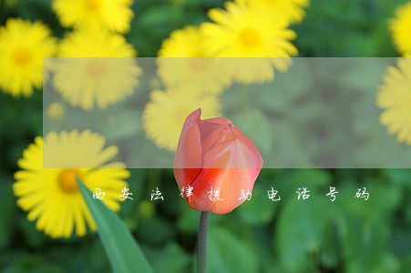 西安法律援助电话号码 西安法律援助电话号码
