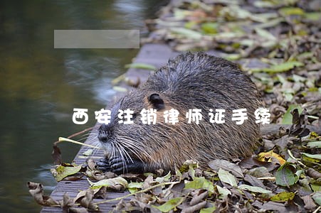西安注销律师证手续 西安注销律师证手续