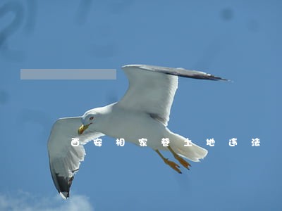 西安相家巷土地违法 西安相家巷土地违法