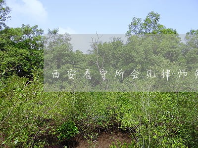 西安看守所会见律师免费咨询