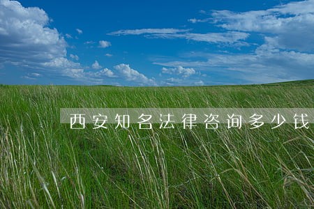 西安知名法律咨询多少钱 西安知名法律咨询多少钱