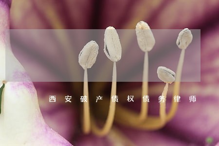 西安破产债权债务律师 西安破产债权债务律师