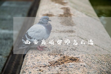 西安离婚律师怎么选 西安离婚律师怎么选