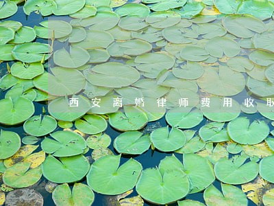 西安离婚律师费用收取 西安离婚律师费用收取