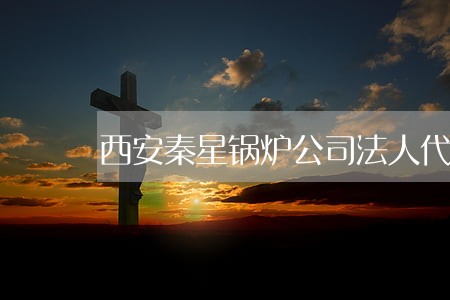 西安秦星锅炉公司法人代表 西安秦星锅炉公司法人代表