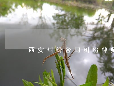 西安纠纷合同纠纷律师 西安纠纷合同纠纷律师