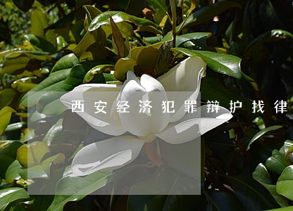西安经济犯罪辩护找律师 西安经济犯罪辩护找律师