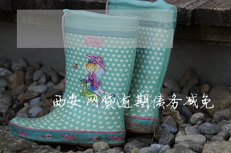 西安网贷逾期债务减免 西安网贷逾期债务减免