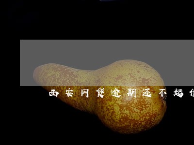 西安网贷逾期还不起债务减免 西安网贷逾期还不起债务减免