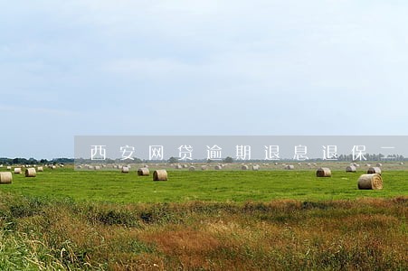 西安网贷逾期退息退保二次分期 西安网贷逾期退息退保二次分期