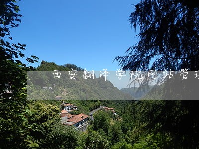 西安翻译学院网站管理办法条例