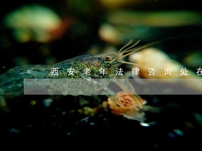 西安老年法律咨询处在哪 西安老年法律咨询处在哪