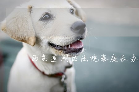 西安莲湖区法院秦庭长办公室电话 西安莲湖区法院秦庭长办公室电话