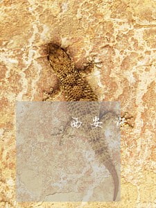 西安许小平律师事务所怎么样 西安许小平律师事务所怎么样