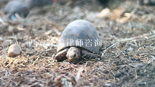 西安诈骗律师咨询 西安诈骗律师咨询