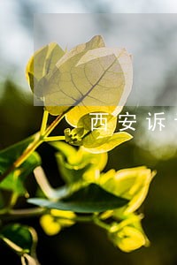 西安诉讼离婚法律咨询