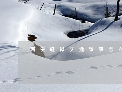 西安轻微交通肇事怎么样诉讼 西安轻微交通肇事怎么样诉讼