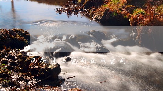 西安违法查询在线查询 西安违法查询在线查询