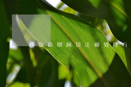 西安逾期网贷正确处理方案 西安逾期网贷正确处理方案