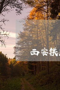 西安铁路法院卫应举简历