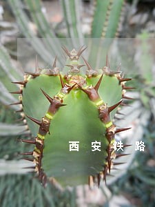 西安铁路运输法院岳晓立