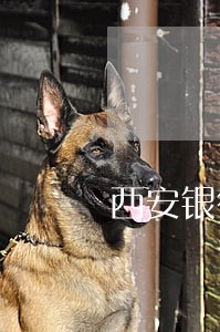 西安银行股份有限公司逾期处理 西安银行股份有限公司逾期处理