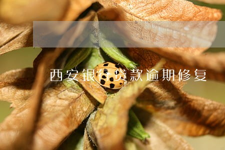 西安银行贷款逾期修复 西安银行贷款逾期修复