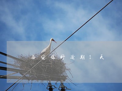 西安银行逾期1天