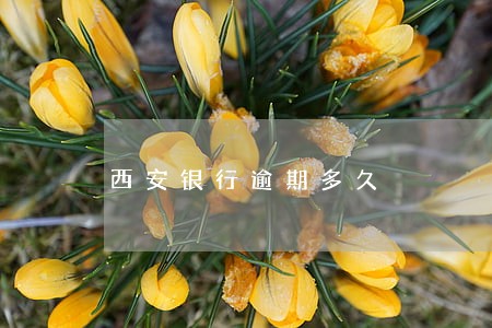 西安银行逾期多久 西安银行逾期多久