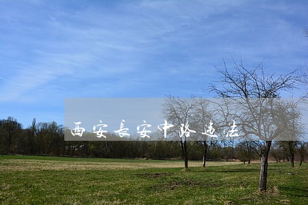 西安长安中路违法 西安长安中路违法