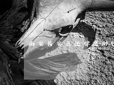 西安长安区法律援助电话 西安长安区法律援助电话