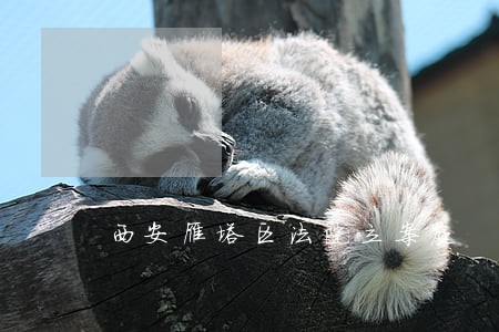 西安雁塔区法院立案庭